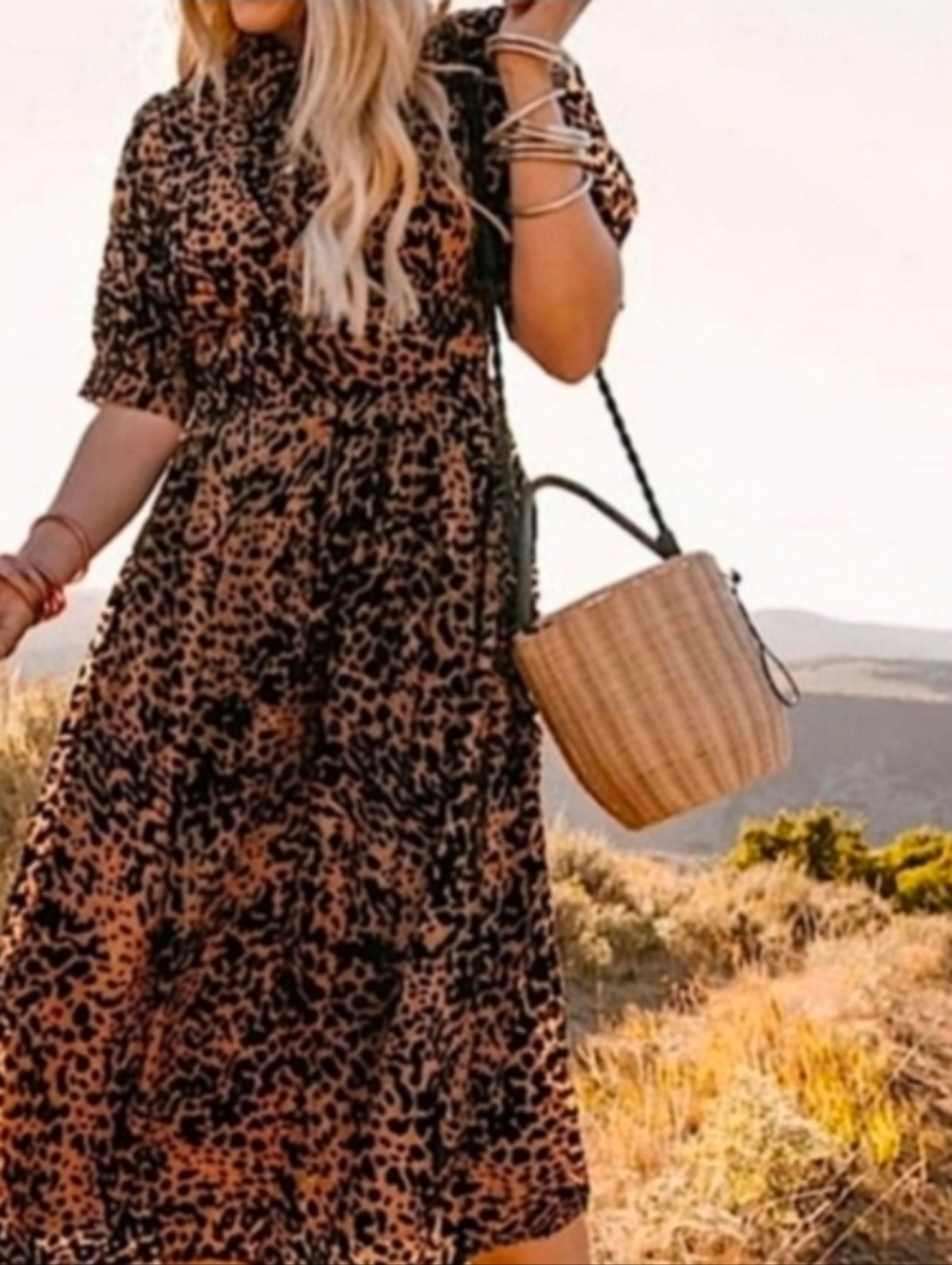 Ivy City Co Anna Dress Size Small Cheetah Print